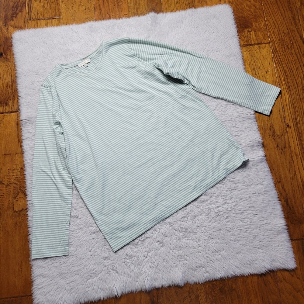 Ann Mashburn Shirt Women's Medium Oversized Boxy Long Sleeve Striped Green White